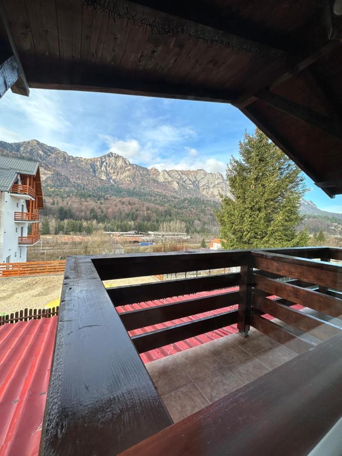 Casa Rares Буштени Экстерьер фото