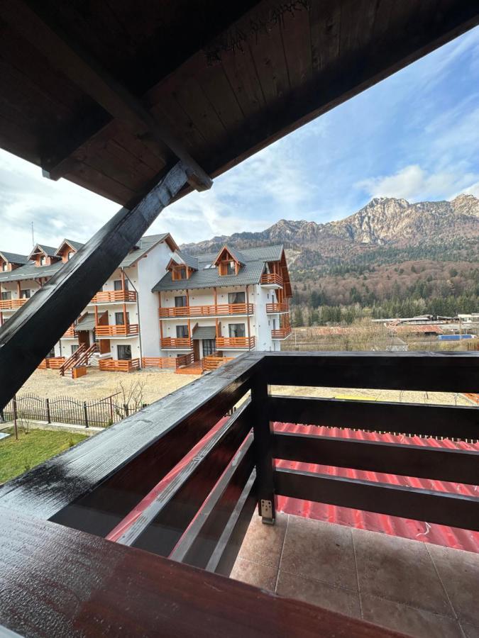 Casa Rares Буштени Экстерьер фото