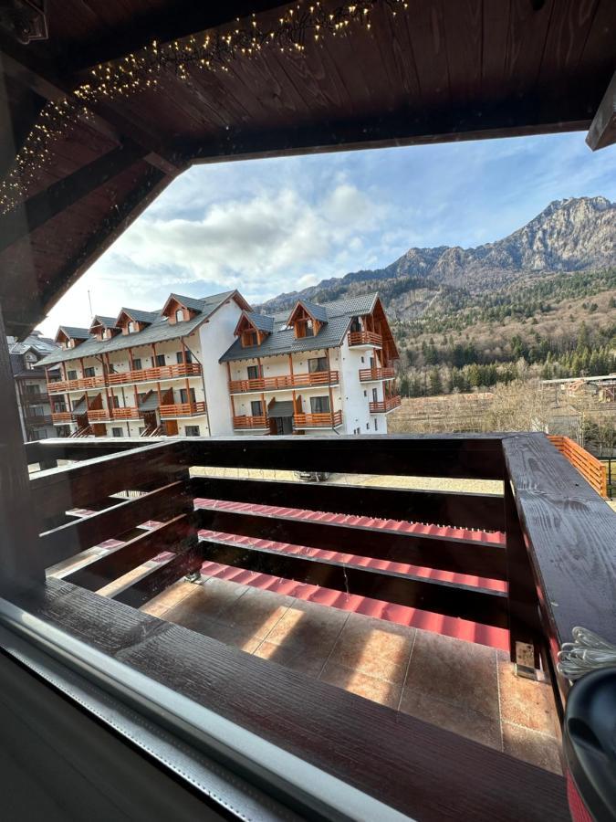 Casa Rares Буштени Экстерьер фото