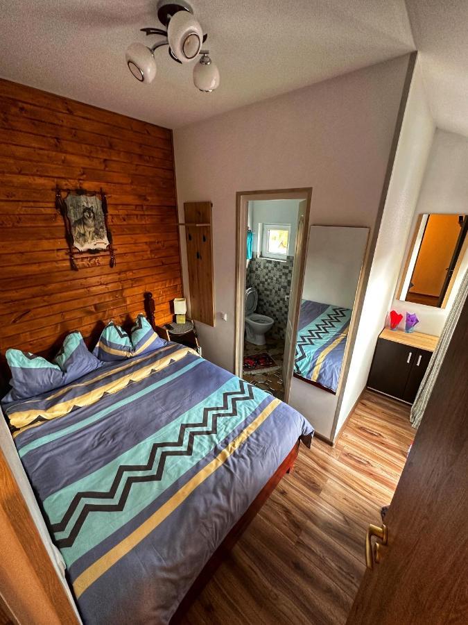 Casa Rares Буштени Экстерьер фото